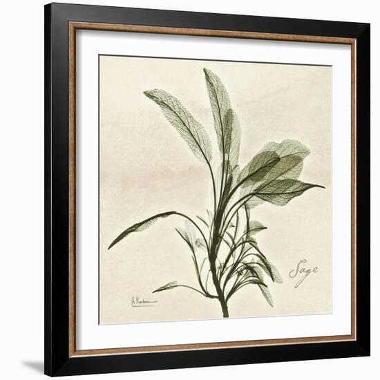 Sage Moment-Albert Koetsier-Framed Art Print