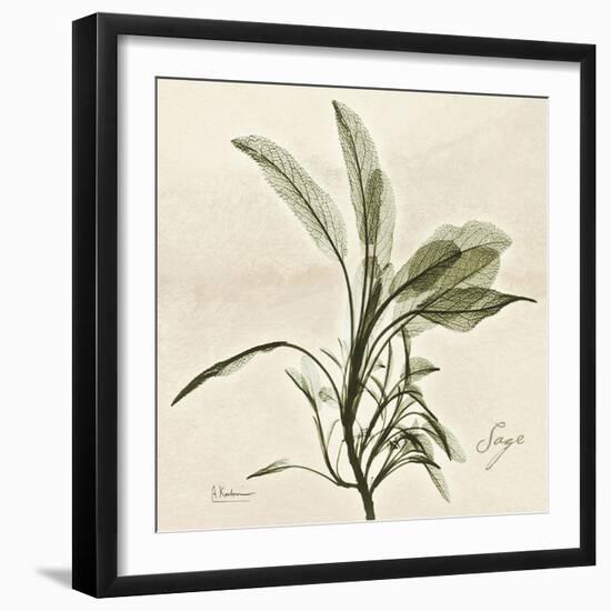 Sage Moment-Albert Koetsier-Framed Art Print