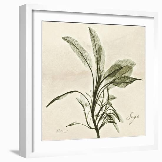 Sage Moment-Albert Koetsier-Framed Art Print