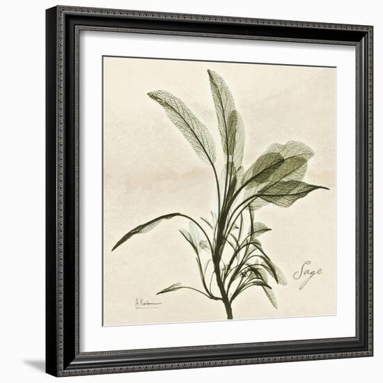 Sage Moment-Albert Koetsier-Framed Art Print