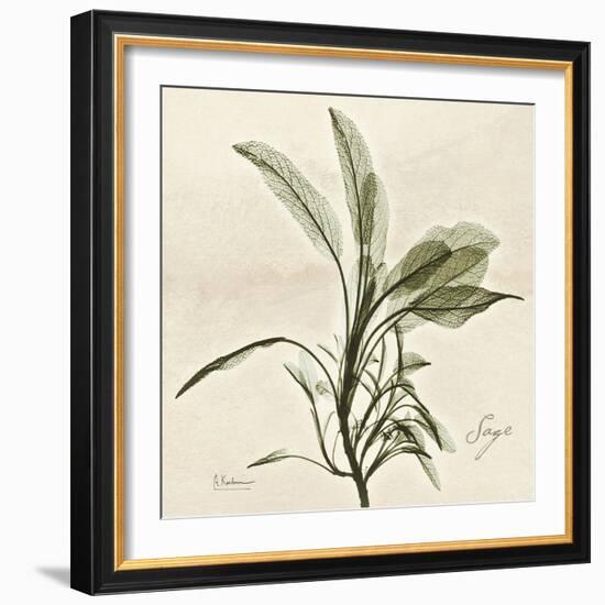 Sage Moment-Albert Koetsier-Framed Art Print