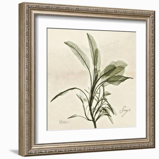 Sage Moment-Albert Koetsier-Framed Art Print