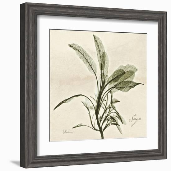 Sage Moment-Albert Koetsier-Framed Art Print