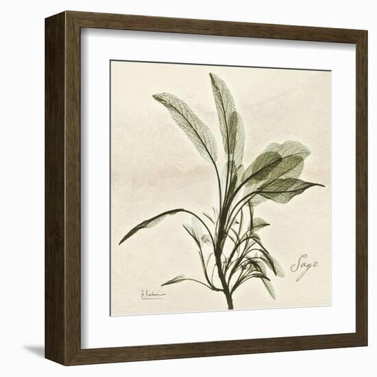 Sage Moment-Albert Koetsier-Framed Art Print