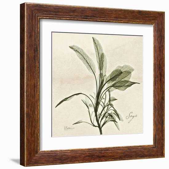 Sage Moment-Albert Koetsier-Framed Art Print