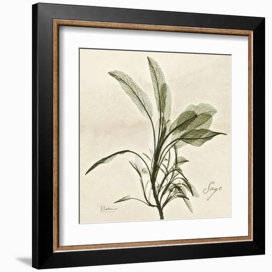 Sage Moment-Albert Koetsier-Framed Art Print