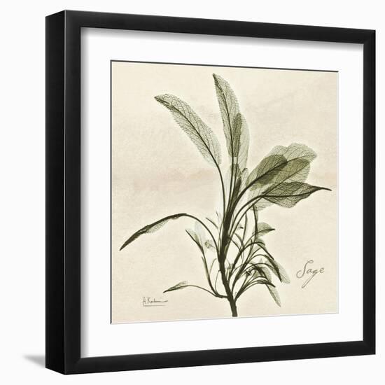 Sage Moment-Albert Koetsier-Framed Art Print