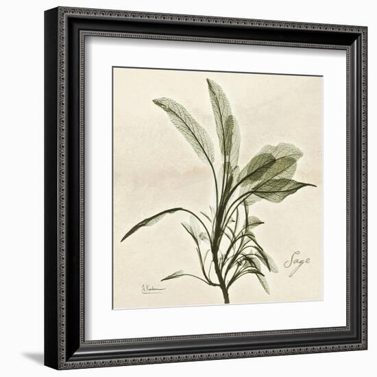 Sage Moment-Albert Koetsier-Framed Art Print