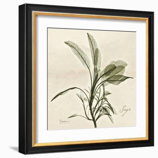 Sage Moment-Albert Koetsier-Framed Art Print