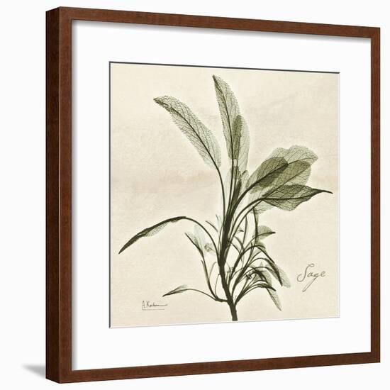 Sage Moment-Albert Koetsier-Framed Premium Giclee Print