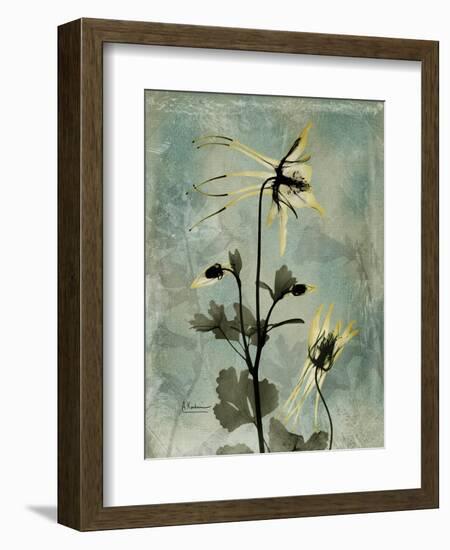 Sage Opus Columbine-Albert Koetsier-Framed Art Print