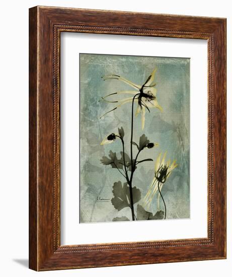 Sage Opus Columbine-Albert Koetsier-Framed Art Print