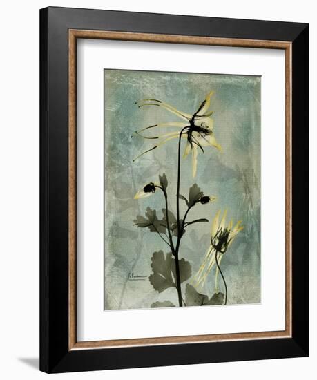 Sage Opus Columbine-Albert Koetsier-Framed Art Print