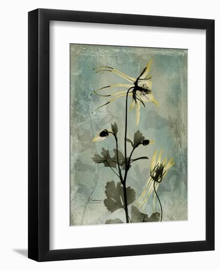 Sage Opus Columbine-Albert Koetsier-Framed Art Print