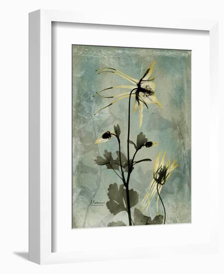 Sage Opus Columbine-Albert Koetsier-Framed Art Print