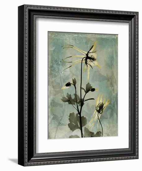 Sage Opus Columbine-Albert Koetsier-Framed Art Print