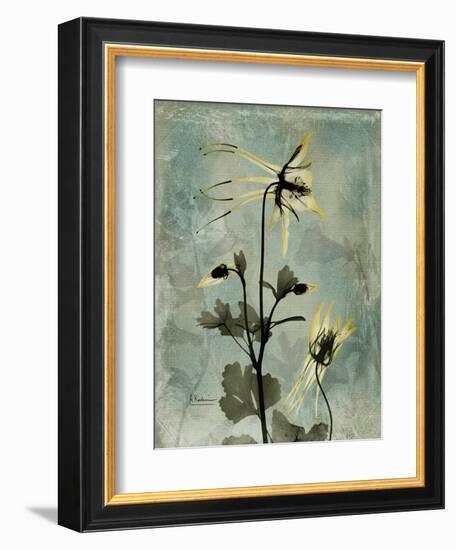 Sage Opus Columbine-Albert Koetsier-Framed Art Print