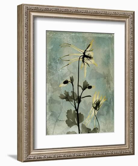 Sage Opus Columbine-Albert Koetsier-Framed Premium Giclee Print