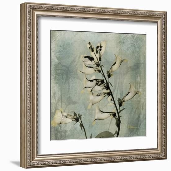 Sage Opus Foxglove-Albert Koetsier-Framed Art Print