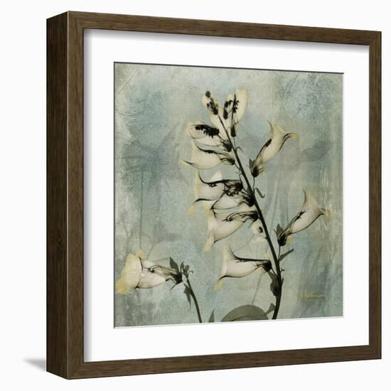 Sage Opus Foxglove-Albert Koetsier-Framed Art Print