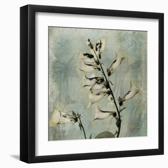 Sage Opus Foxglove-Albert Koetsier-Framed Art Print