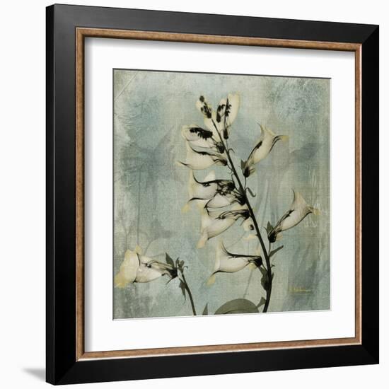 Sage Opus Foxglove-Albert Koetsier-Framed Art Print