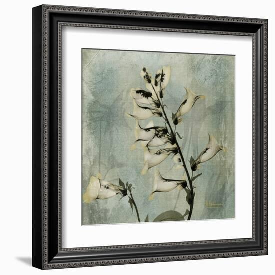 Sage Opus Foxglove-Albert Koetsier-Framed Art Print