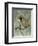 Sage Opus Rose-Albert Koetsier-Framed Art Print