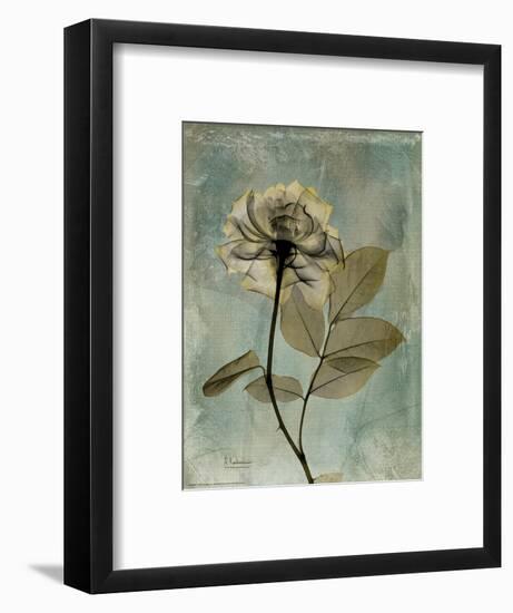 Sage Opus Rose-Albert Koetsier-Framed Art Print