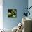 Sage (Salvia Officinalis)-Cristina-Framed Premier Image Canvas displayed on a wall