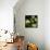 Sage (Salvia Officinalis)-Cristina-Framed Premier Image Canvas displayed on a wall