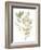 Sage & Sienna Leaves I-Jennifer Goldberger-Framed Art Print