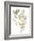 Sage & Sienna Leaves I-Jennifer Goldberger-Framed Art Print