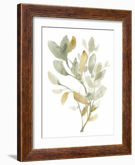 Sage & Sienna Leaves I-Jennifer Goldberger-Framed Art Print