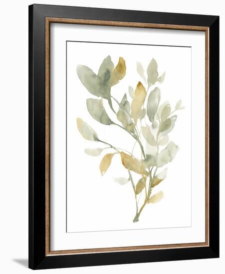 Sage & Sienna Leaves I-Jennifer Goldberger-Framed Art Print