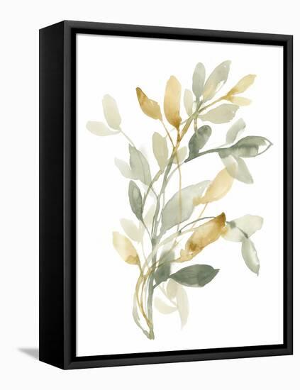 Sage & Sienna Leaves II-Jennifer Goldberger-Framed Stretched Canvas