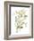 Sage & Sienna Leaves II-Jennifer Goldberger-Framed Art Print