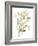 Sage & Sienna Leaves II-Jennifer Goldberger-Framed Art Print