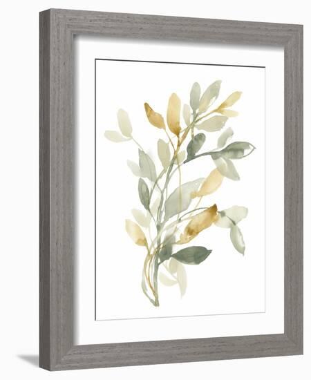 Sage & Sienna Leaves II-Jennifer Goldberger-Framed Art Print