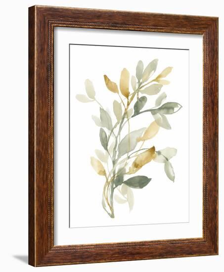 Sage & Sienna Leaves II-Jennifer Goldberger-Framed Art Print