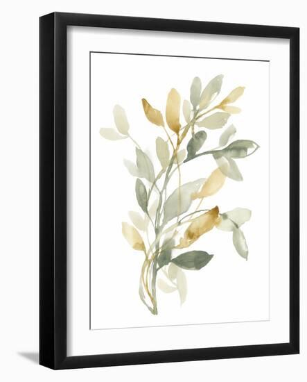 Sage & Sienna Leaves II-Jennifer Goldberger-Framed Art Print