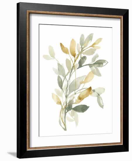 Sage & Sienna Leaves II-Jennifer Goldberger-Framed Art Print