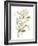 Sage & Sienna Leaves II-Jennifer Goldberger-Framed Art Print