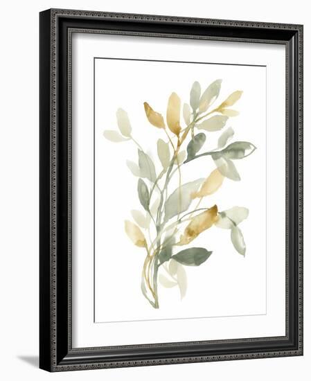 Sage & Sienna Leaves II-Jennifer Goldberger-Framed Art Print