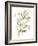 Sage & Sienna Leaves II-Jennifer Goldberger-Framed Art Print