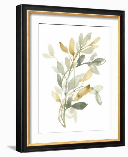 Sage & Sienna Leaves II-Jennifer Goldberger-Framed Art Print