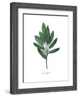 Sage-Jo Moulton-Framed Art Print