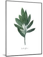 Sage-Jo Moulton-Mounted Art Print