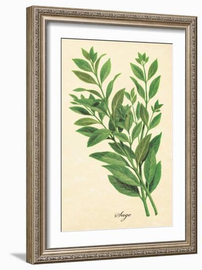 Sage-The Saturday Evening Post-Framed Giclee Print