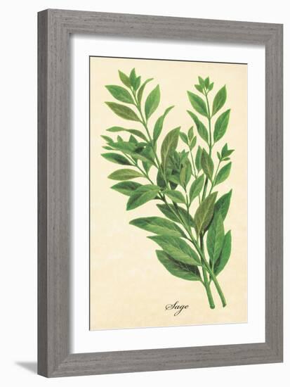 Sage-The Saturday Evening Post-Framed Giclee Print